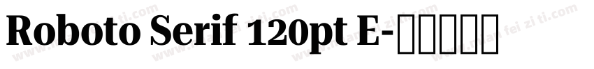 Roboto Serif 120pt E字体转换